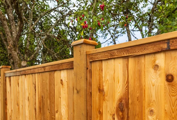 post and rail fencing